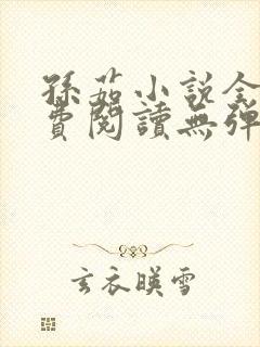孙茹小说全文免费阅读无弹窗