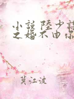 小说 陆少谋妻之婚不由你