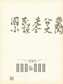 国民老公带回家小说全文阅读