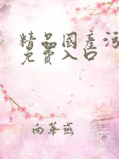 精品国产污网站免费入口
