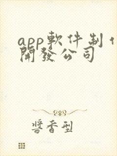 app软件制作开发公司