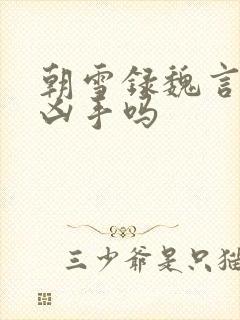 朝雪录魏言之是凶手吗