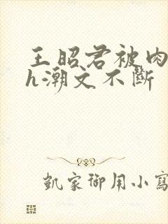 王昭君被肉干高h潮文不断