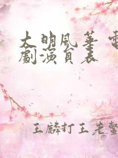 大明风华 电视剧演员表