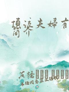 顶流夫妇有点甜简介