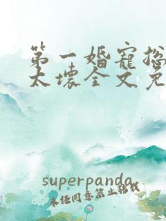 第一婚宠总裁别太坏全文免费阅读