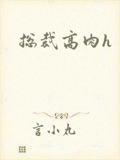 总裁高肉h