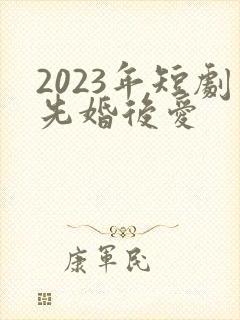2023年短剧先婚后爱