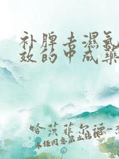 补脾去湿气最有效的中成药
