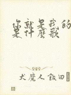 你就是我的唯一是什么歌