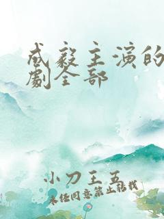成毅主演的电视剧全部
