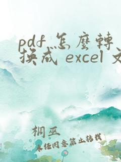 pdf 怎么转换成 excel 文档