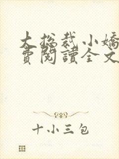 大总裁小娇妻免费阅读全文