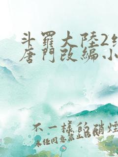 斗罗大陆2绝世唐门改编小说