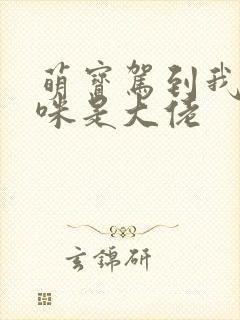 萌宝驾到我的妈咪是大佬