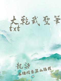 大乾武圣笔趣阁txt