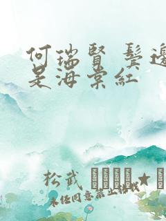 何瑞贤 鬓边不是海棠红
