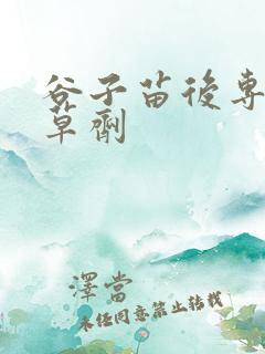 谷子苗后专用除草剂