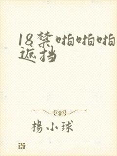 18禁啪啪啪无遮挡