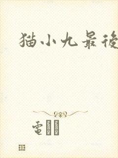 猫小九最后一集
