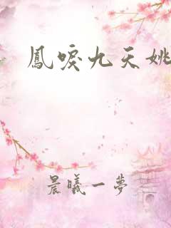 凤唳九天姚莫婉
