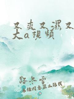 又爽又湿又紧又大a视频