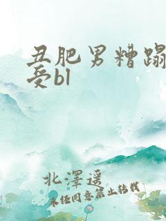 丑肥男糟蹋美人受bl