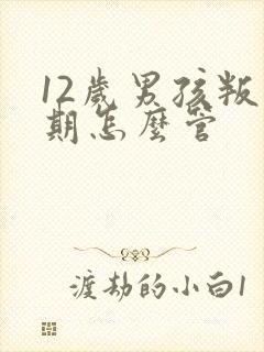12岁男孩叛逆期怎么管