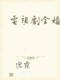 电视剧金婚下载