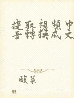 提取视频中的声音转换成文字
