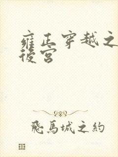 雍正穿越之极品后宫