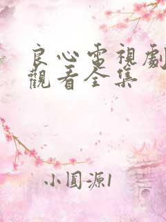 良心电视剧免费观看全集