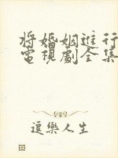 将婚姻进行到底电视剧全集在线观看
