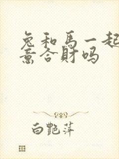 兔和马一起做生意合财吗