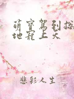 萌宝驾到总裁爹地宠上天