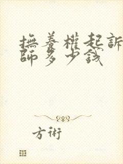 抚养权起诉找律师多少钱