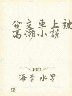 公交车上被c到高潮小说