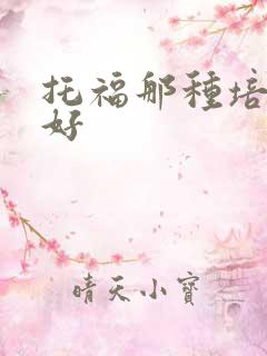 托福那种培训班好
