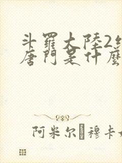 斗罗大陆2绝世唐门是什么时候出的