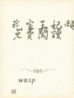 我家王妃超凶的免费阅读