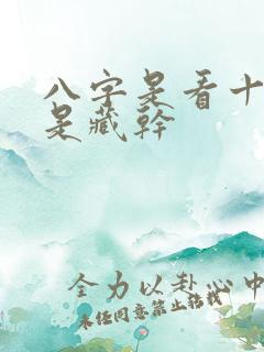 八字是看十神还是藏干