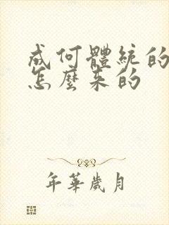 成何体统的太子怎么来的