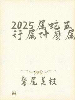 2025属蛇五行属什么属性的