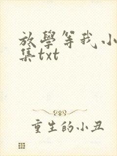 放学等我小说全集txt