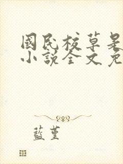 国民校草是女生小说全文免费阅读
