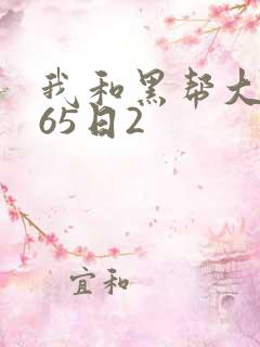 我和黑帮大佬365日2