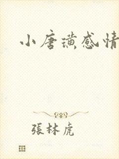 小唐璜感情史