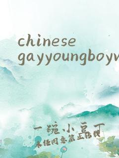 chinesegayyoungboyvideo