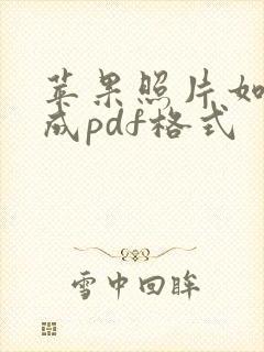 苹果照片如何转成pdf格式