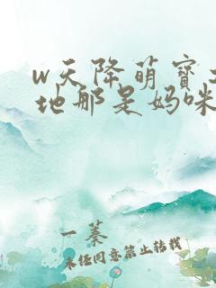w天降萌宝之爹地那是妈咪》
